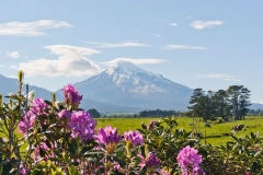 neuseeland, Mount Taranaki
