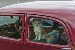 neuseeland, Oldtimer