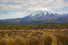 neuseeland, Tongariro Nationalpark