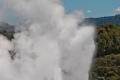 neuseeland, Whakarewarewa, Geyser
