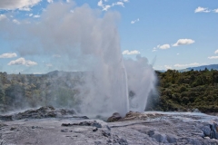 neuseeland, Whakarewarewa, Geyser
