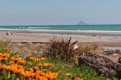neuseeland, whakatane