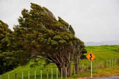 neuseeland, far north