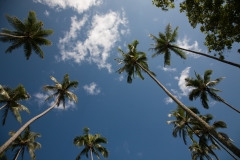 OAHU_Ostküste