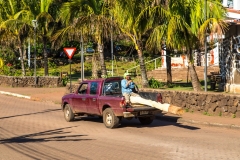 Osterinsel  Holztransport