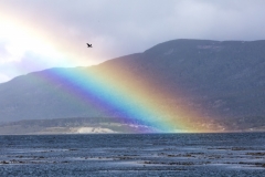 Regenbogen in Feuerland