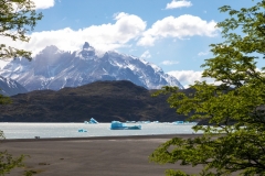 Lago Grey