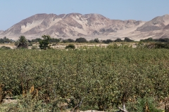 Peru_0018