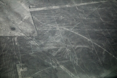 Peru_0029_Nazca-Linien