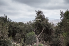 Peru_0045