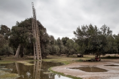 Peru_0046