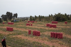 Peru_0058