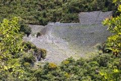 Peru_0146_Wiñay Wayna