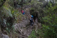 Peru_0162_Wayna Picchu