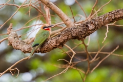 Südafrika_Swaziland
