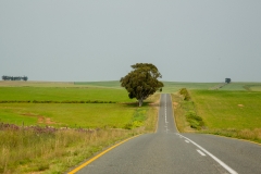 Südafrika_Farmland