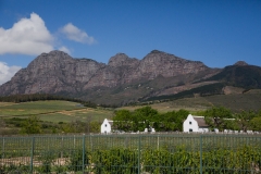 Südafrika_Stellenbosch