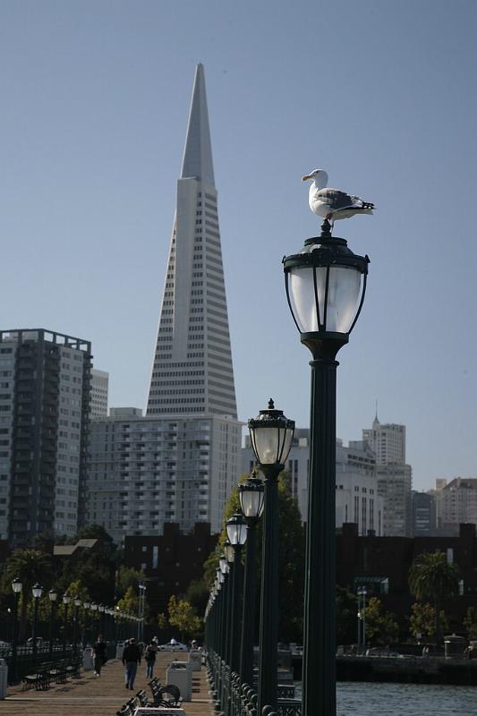 Pier San Francisco