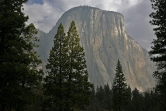 El Capitan, Yosemite N.P.