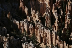 Bryce Canyon NP