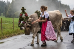 Viehscheid