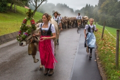 Viehscheid