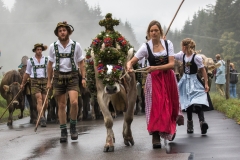 Viehscheid