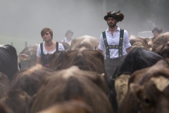 Viehscheid