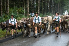 Viehscheid