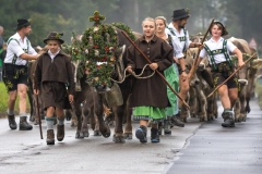 Viehscheid