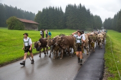 Viehscheid