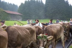 Viehscheid