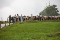 Viehscheid