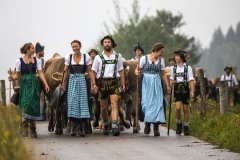 Viehscheid