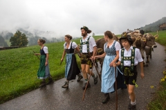 Viehscheid