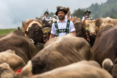 Viehscheid