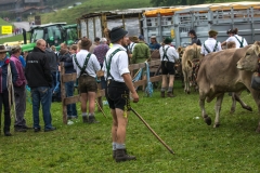 Viehscheid