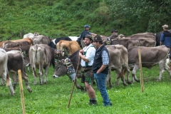 Viehscheid