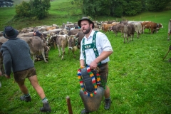 Viehscheid