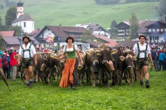 Viehscheid