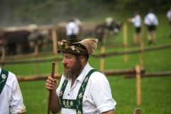 Viehscheid