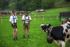 Viehscheid