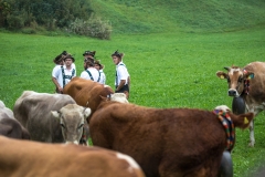 Viehscheid