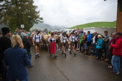 Viehscheid