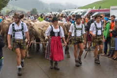 Viehscheid