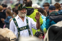 Viehscheid